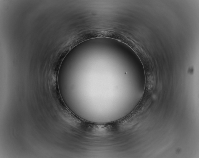 X0000100330613200806051536