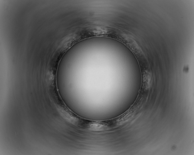 X0000100330614200806051536