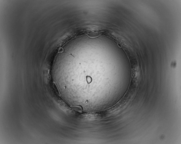 X0000100330615200806051536