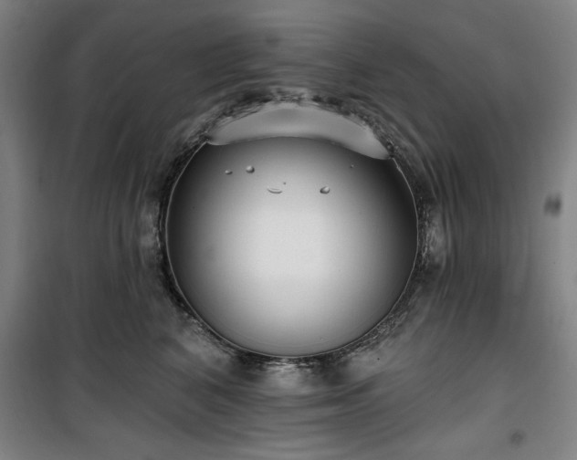 X0000100330616200806051536