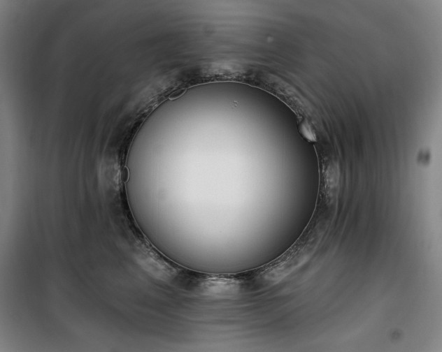 X0000100330617200806051536