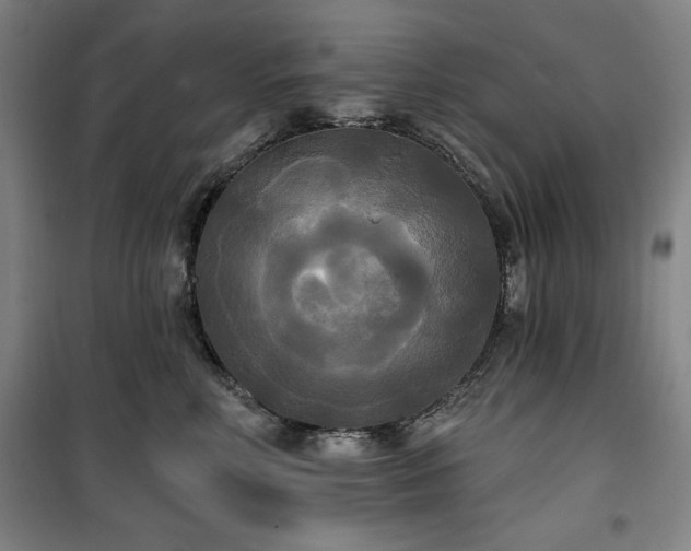 X0000100330618200806051536