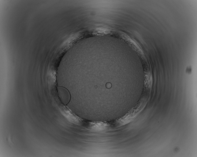 X0000100330621200806051536