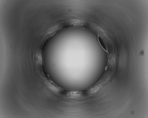 X0000100330622200806051536