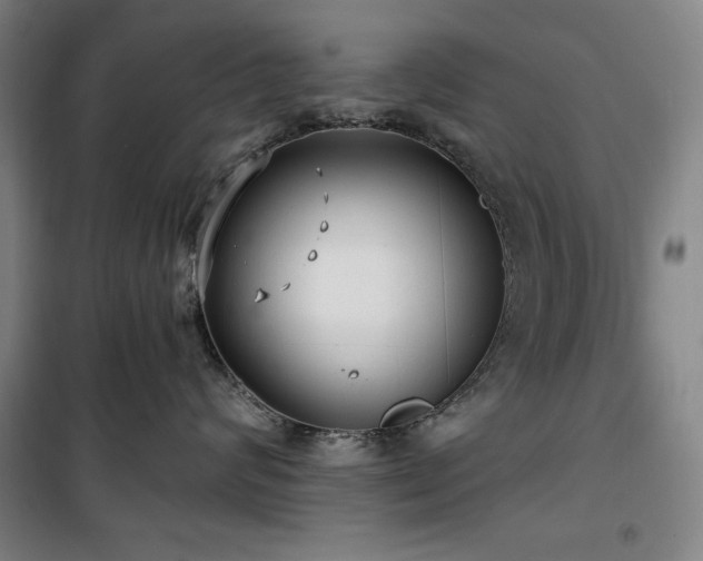 X0000100330624200806051536