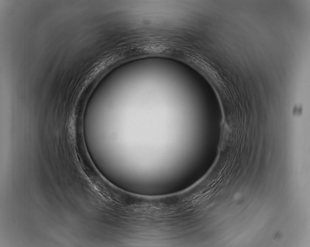 X0000100330626200806051535