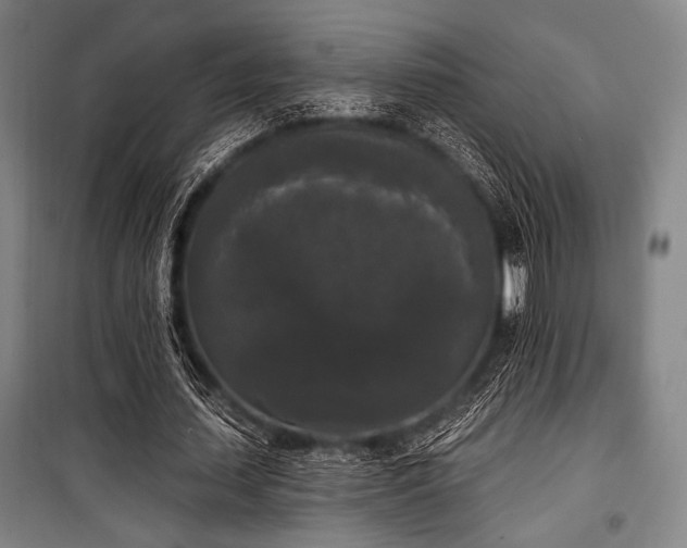 X0000100330627200806051535