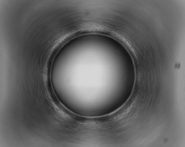 X0000100330629200806051535