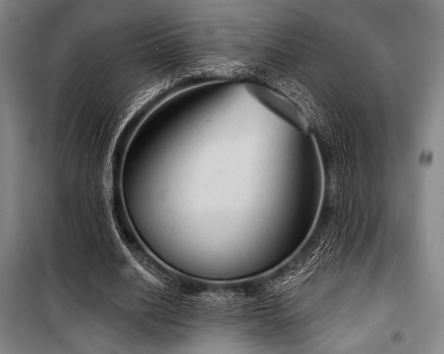 X0000100330630200806051535