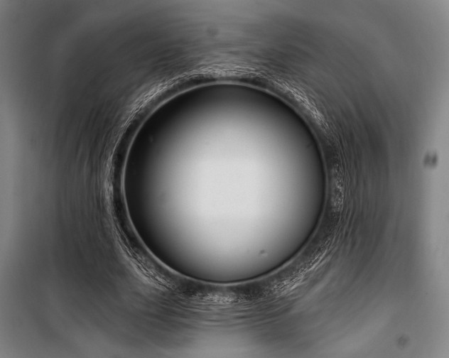 X0000100330631200806051535