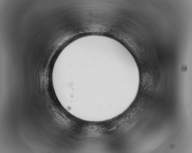 X0000100330632200806051535