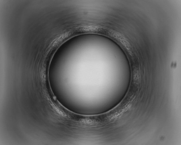 X0000100330633200806051535