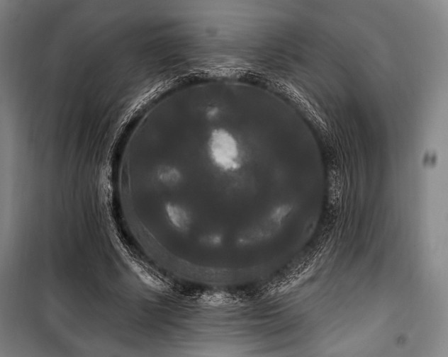 X0000100330634200806051535