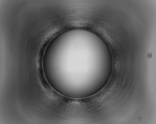 X0000100330635200806051535