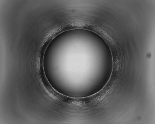 X0000100330638200806051535