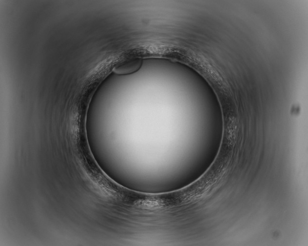 X0000100330639200806051535