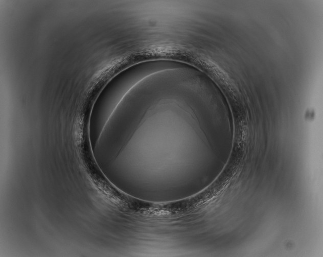 X0000100330640200806051535