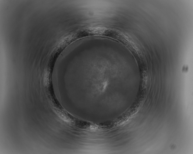 X0000100330641200806051535