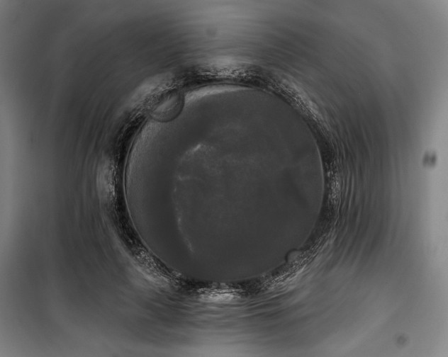 X0000100330643200806051535