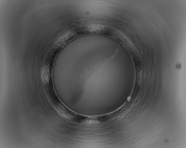 X0000100330644200806051535