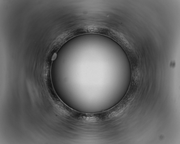 X0000100330645200806051535