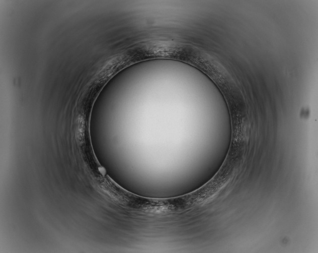 X0000100330646200806051535