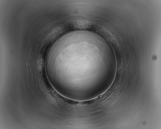 X0000100330647200806051535