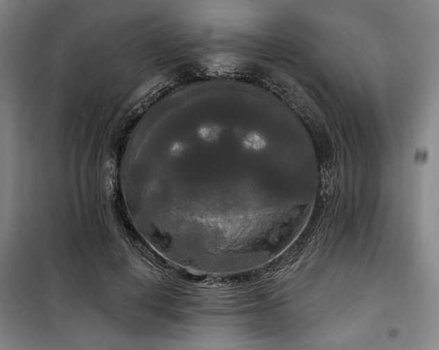 X0000100330648200806051535