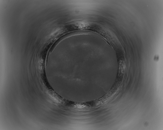 X0000100330650200806051535