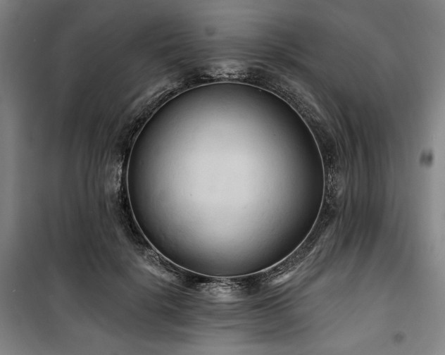 X0000100330652200806051535