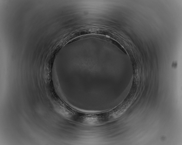 X0000100330653200806051535