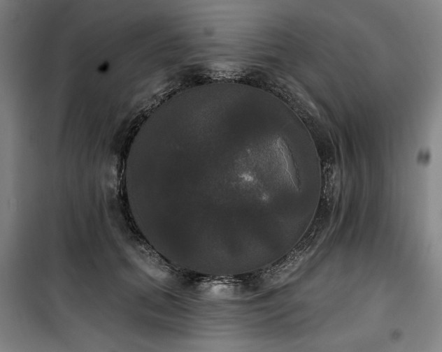 X0000100330655200806051535