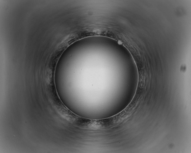 X0000100330656200806051535