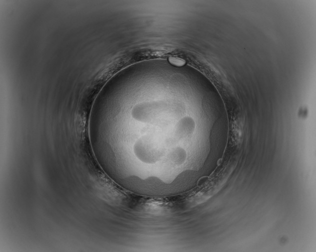 X0000100330657200806051535