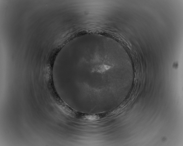 X0000100330659200806051535