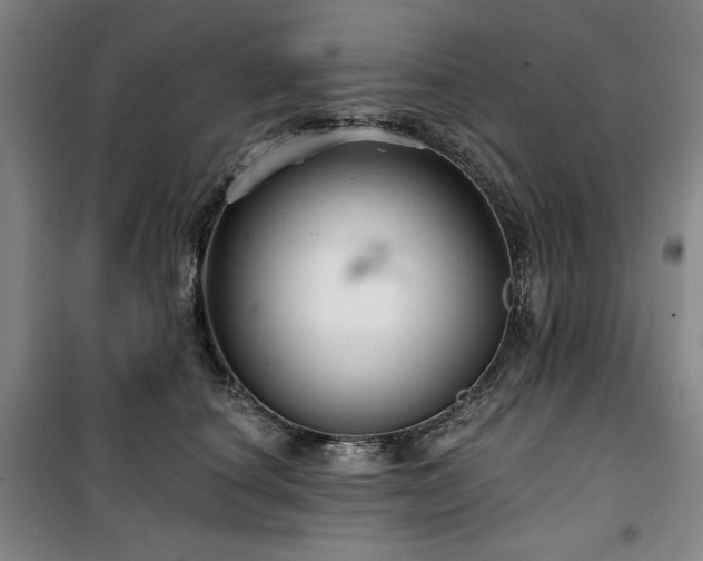 X0000100330660200806051535