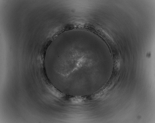 X0000100330661200806051535