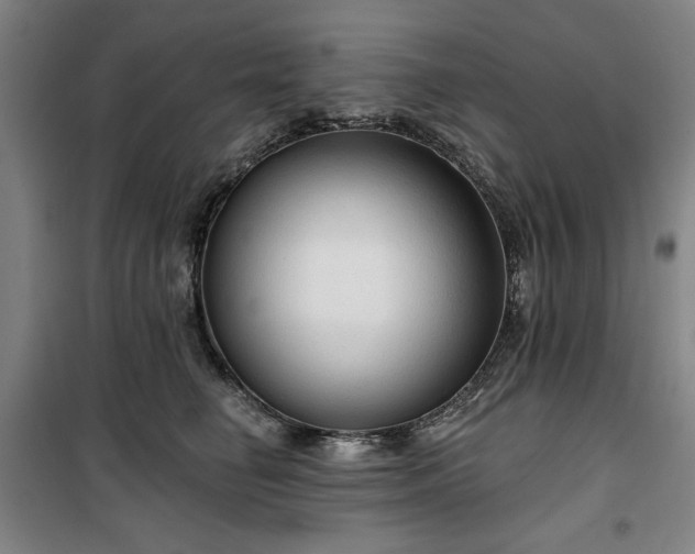 X0000100330662200806051535