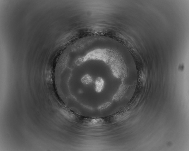 X0000100330663200806051535