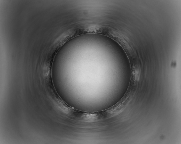 X0000100330665200806051535