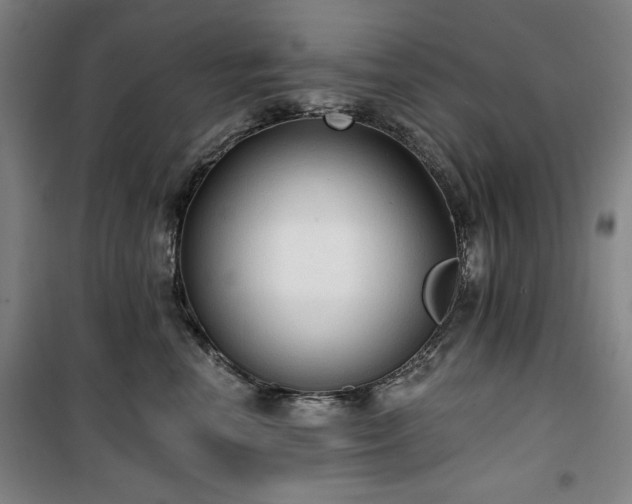 X0000100330666200806051535