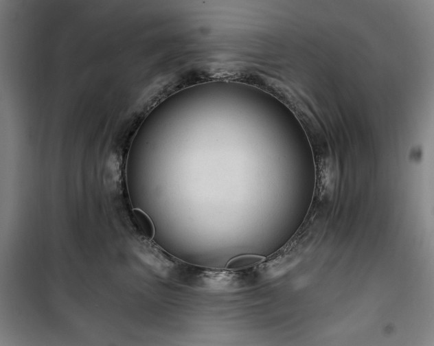 X0000100330667200806051535