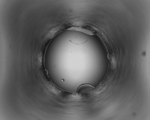 X0000100330668200806051535