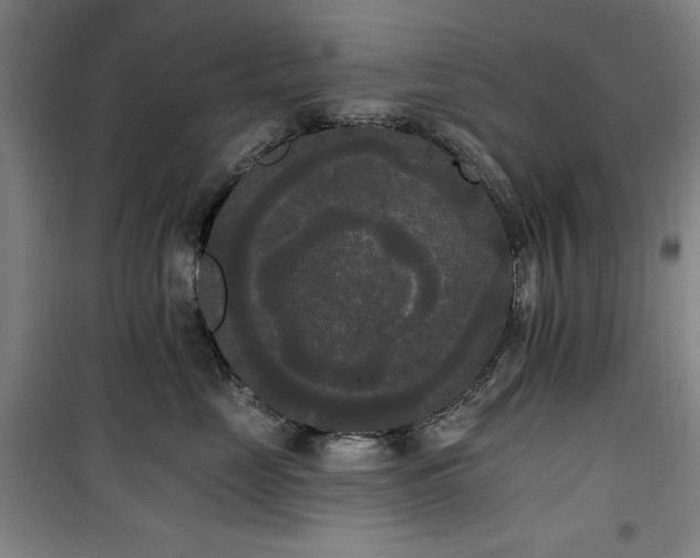 X0000100330669200806051535