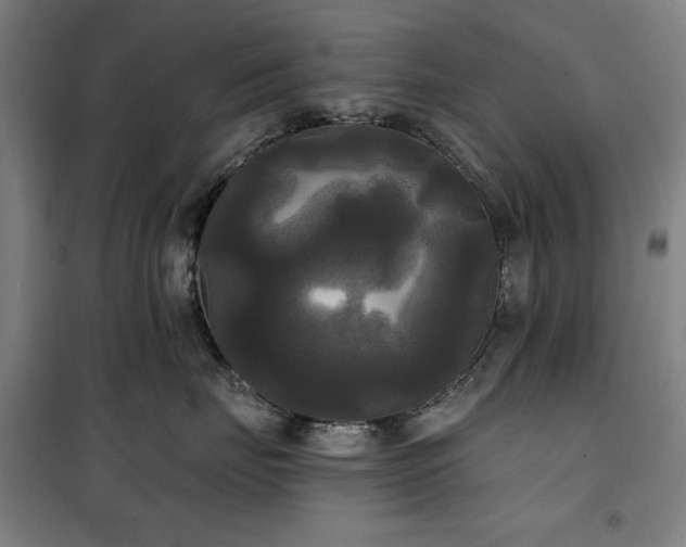 X0000100330671200806051535