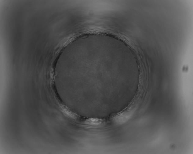 X0000100330672200806051536