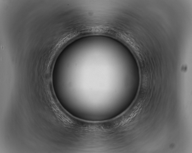 X0000100330673200806051535