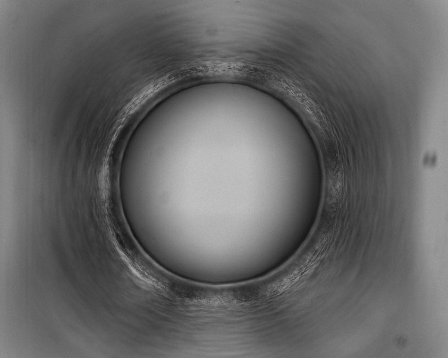 X0000100330674200806051535