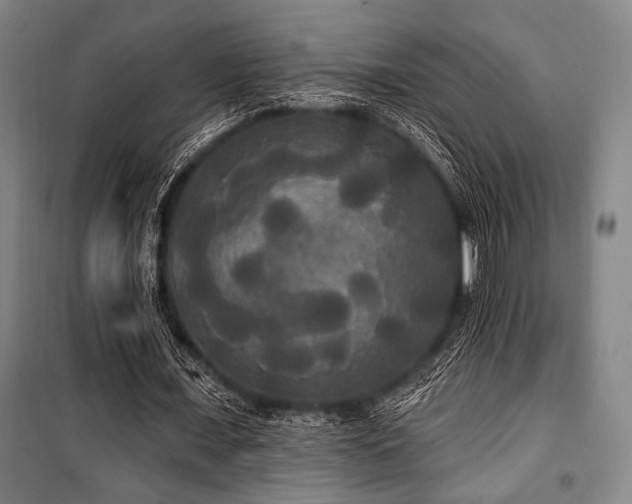 X0000100330675200806051535