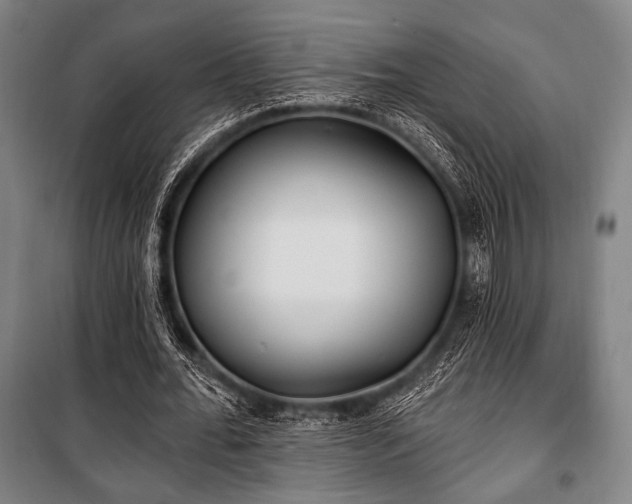 X0000100330676200806051535